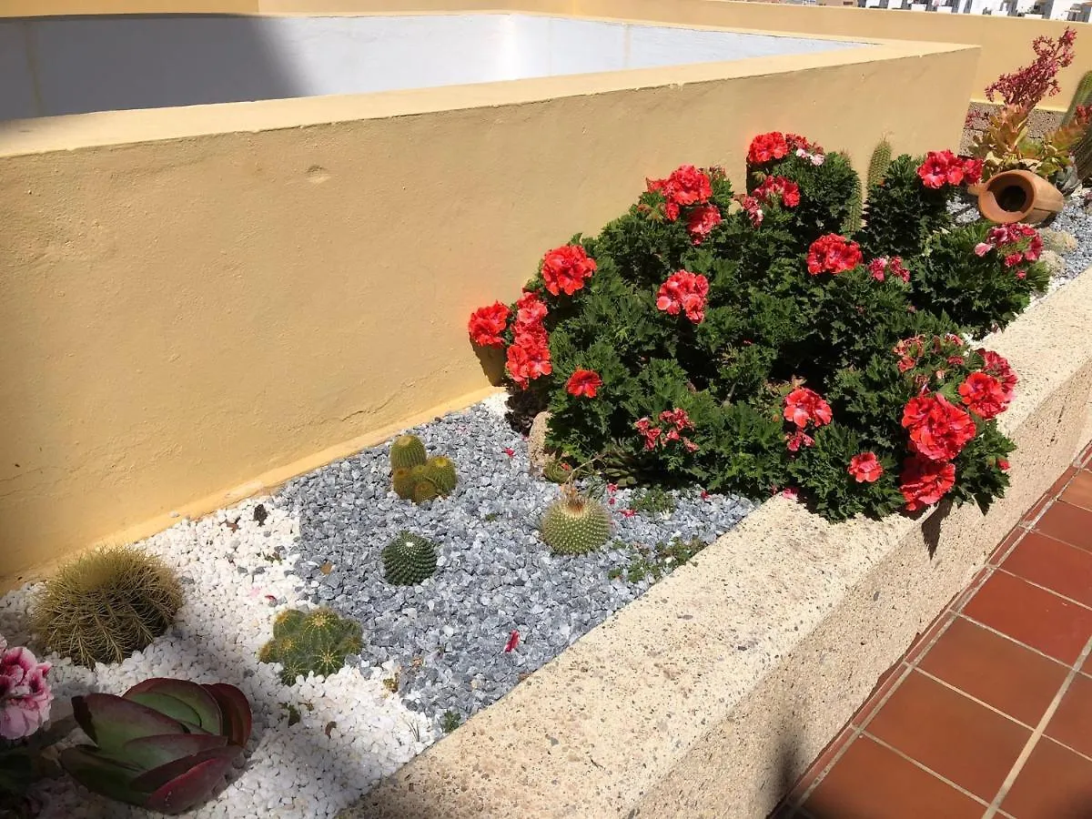 Apartamento Con Impresionantes Vistas Y Piscina Costa Adeje  Costa Adeje (Tenerife)