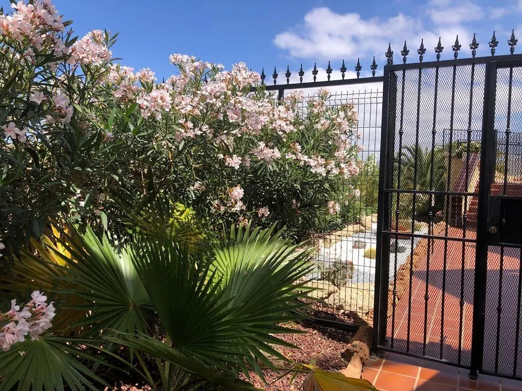 Apartamento Con Impresionantes Vistas Y Piscina Costa Adeje  Apartment Costa Adeje (Tenerife)